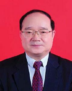 周勇[重慶市九龍坡區委書記]