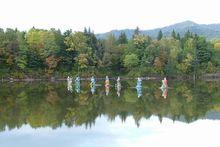 桃山國家森林公園