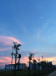 周田[會昌縣下轄鎮]