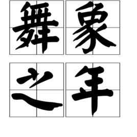 舞象之年 舞象之年