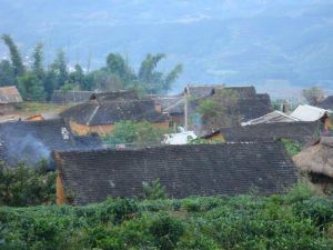 多依樹中老寨村 多依樹中老寨村