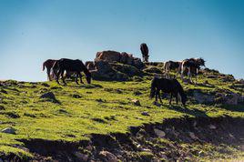 雲頂山[山西婁煩雲頂山]