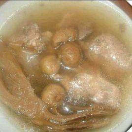 無花果燉瘦肉湯 無花果燉瘦肉湯