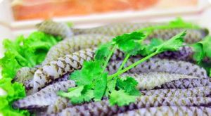 鮮菜魚皮 鮮菜魚皮