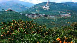 劉家營村[雲南省大理州彌渡縣彌城鎮雙海村劉家營村]