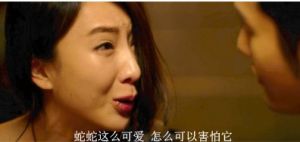 全村吃飯蛇 全村吃飯蛇