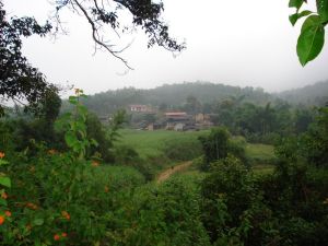 努力社自然村 努力社自然村