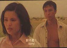 戰狼傳說[1997年甄子丹執導香港動作電影]