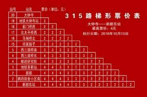北京公交315路 北京公交315路