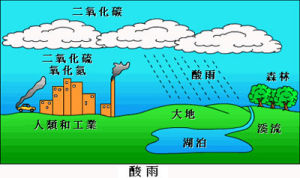酸雨成因演示圖