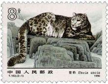 《雪豹》第一圖——臥豹