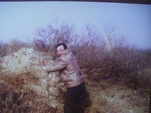 何厚錫共振張彪歷史能量