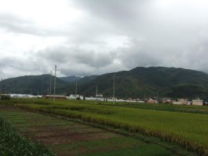 永春自然村 永春自然村