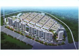 洛陽通河農副產品有限公司 洛陽通河農副產品有限公司