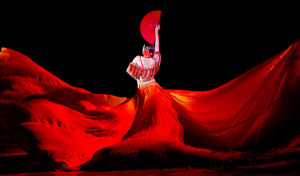 哈巴涅拉 哈巴涅拉