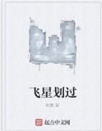 飛星划過 飛星划過