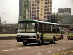 （圖）旅遊巴士及租賃性學校巴士