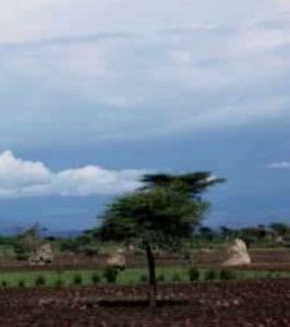 俄比東村 俄比東村