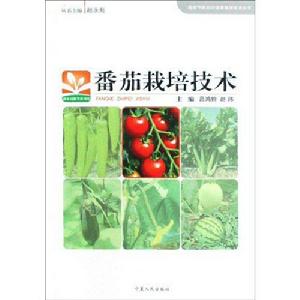 蕃茄栽培技術 蕃茄栽培技術