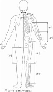 骨度分寸示意圖