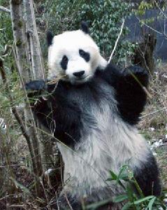 2004年2月13日 2004年2月13日