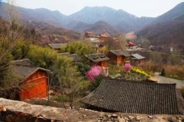 後地村[河南省禹州市鳩山鎮後地村]