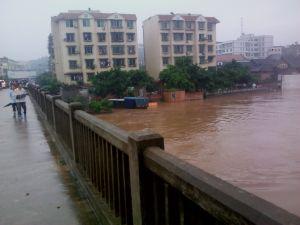 龍馬潭區官渡社區