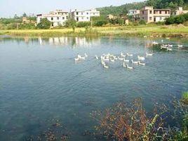 衡南縣寶蓋鎮 衡南縣寶蓋鎮