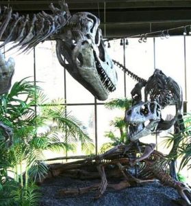 阿爾貝塔龍 阿爾貝塔龍