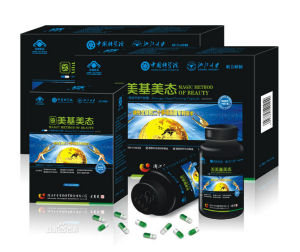 美基美態 美基美態