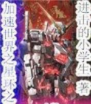 加速世界之星環之子 加速世界之星環之子