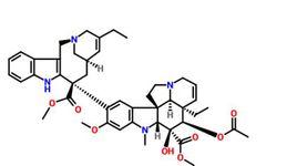 長春瑞濱 長春瑞濱