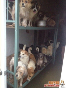 谷登捐助寧波災區