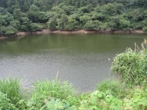 向陽水庫 向陽水庫