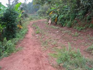 李四寨自然村 李四寨自然村