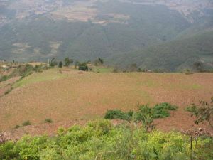 瓦大甲山村 瓦大甲山村