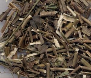 經水適斷 經水適斷