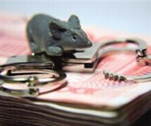 老鼠倉[炒股術語]