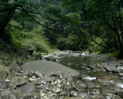 冷水河自然保護區