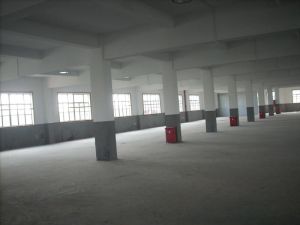 廠房出租 廠房出租