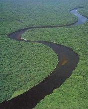 亞馬遜流域