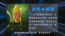 金色小蟑螂 金色小蟑螂