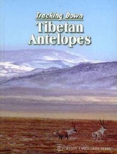 追尋藏羚羊
