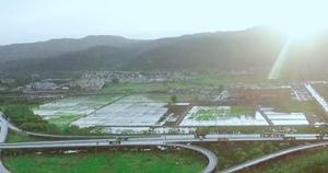 花塔村稻田航拍