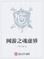 網遊之魂虛界 網遊之魂虛界