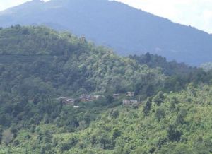 羅馬好天村 羅馬好天村