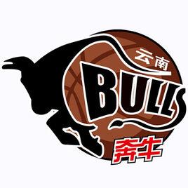 雲南紅河奔牛俱樂部籃球隊