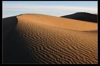 橫向沙丘 橫向沙丘