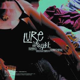 誘導社樂隊 誘導社樂隊