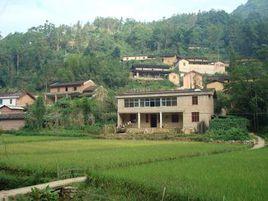 茅草坪村[雲南省文山州麻栗坡縣八布鄉下轄村]